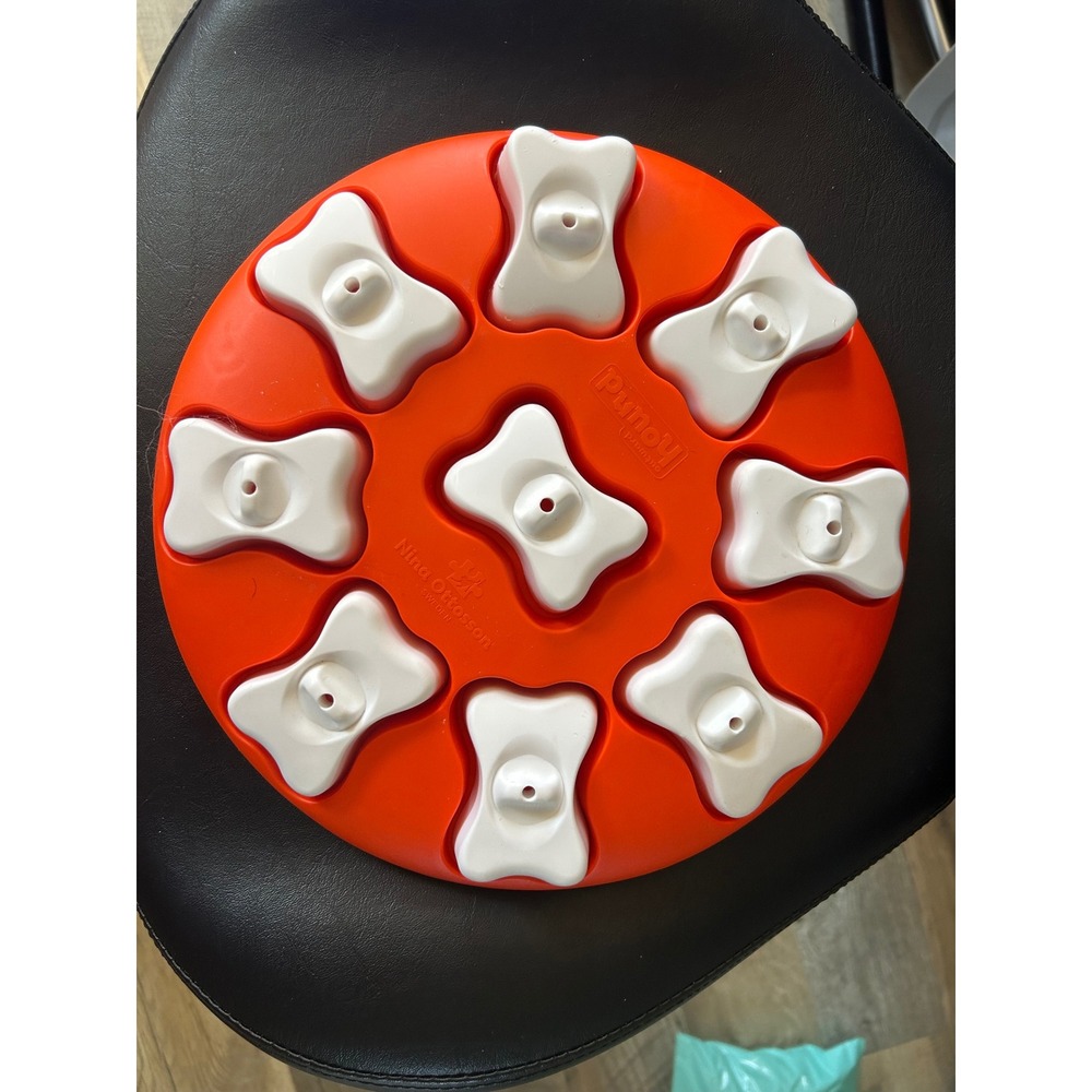 Nina Ottosson Outward Hound Dog Smart Beginner Level 1 Interactive Puzzle Toy